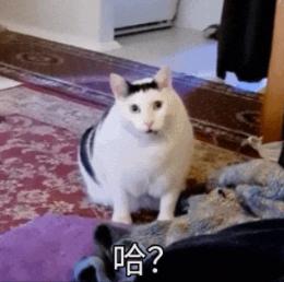 产品配图