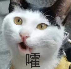 产品配图