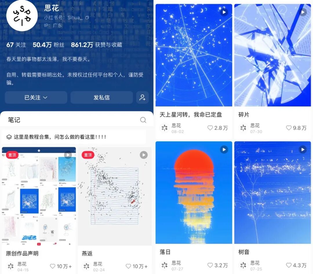 思花的动态视觉诗
