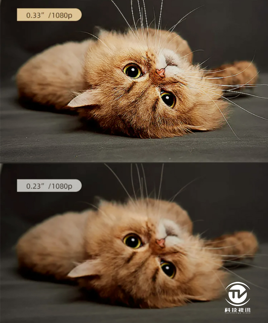 客厅实拍