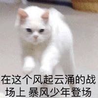 产品细节
